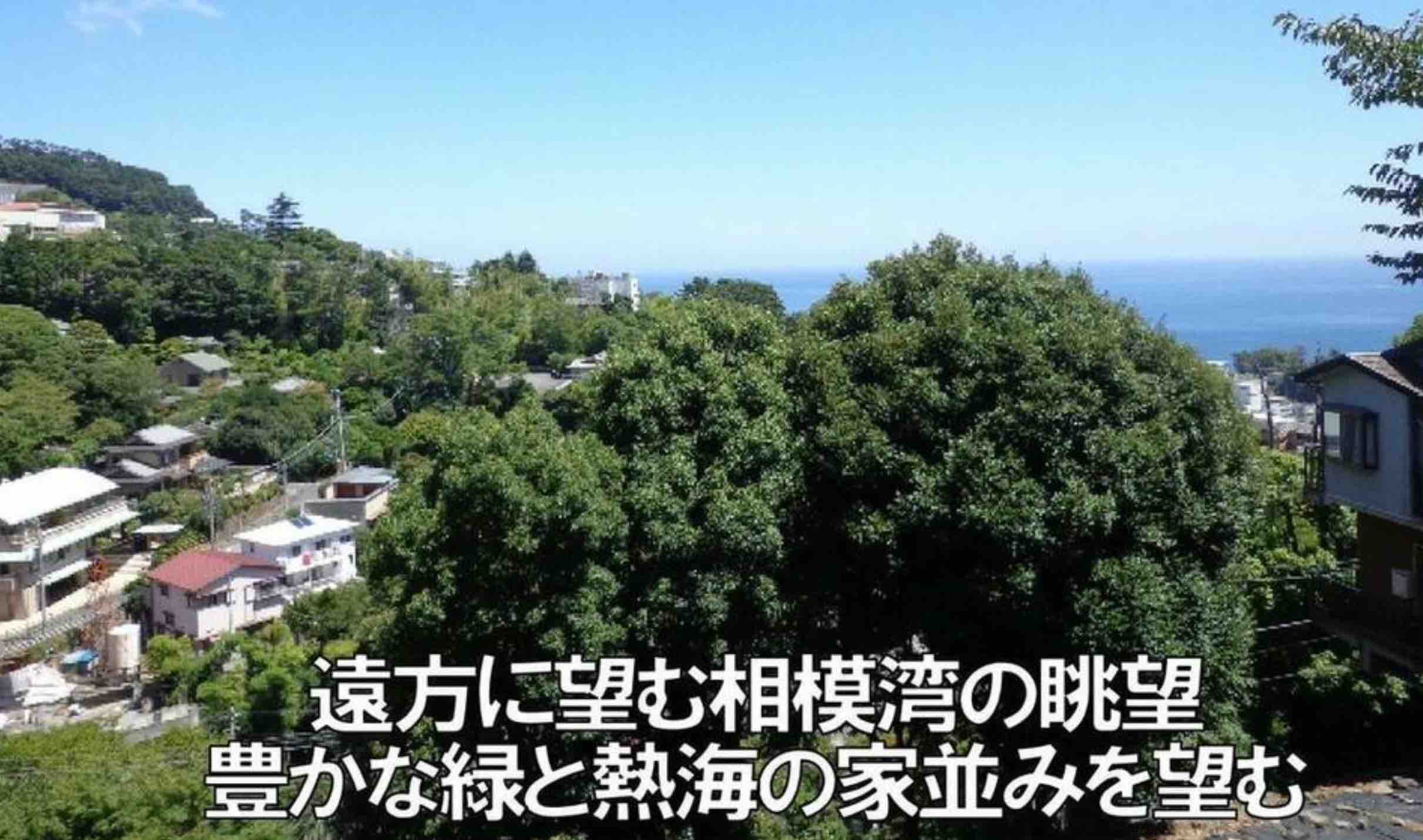 熱海市林ガ丘町特選土地の周辺