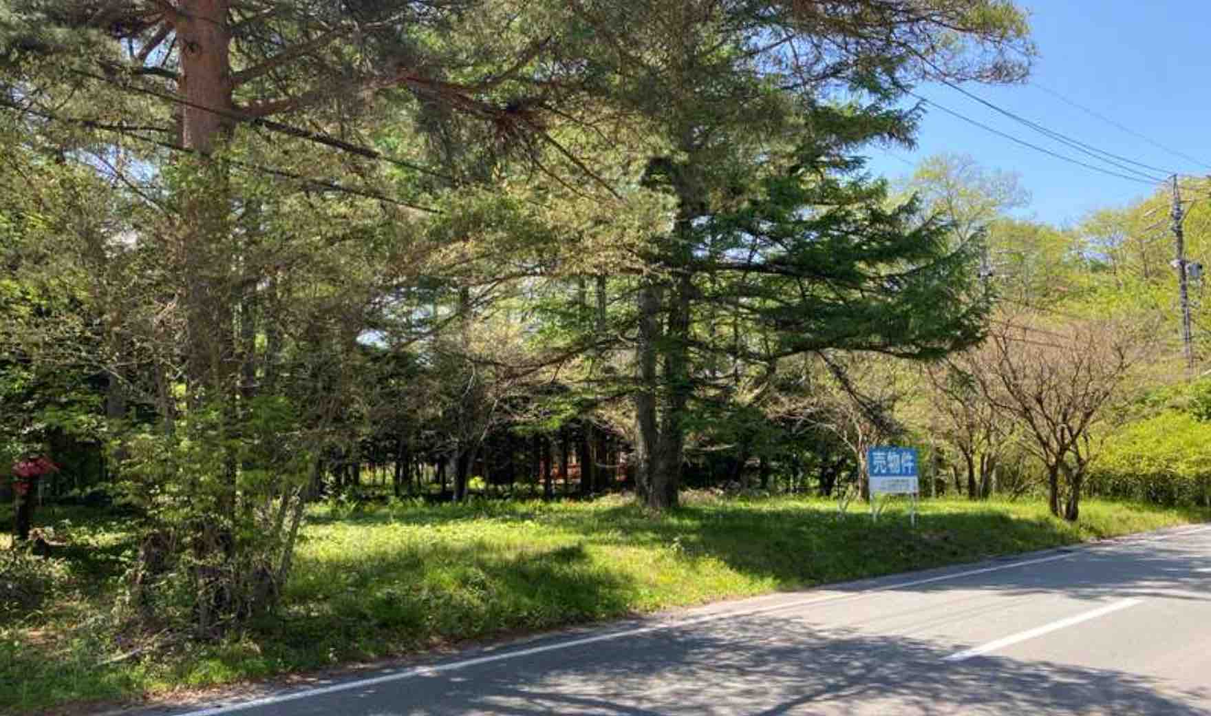 南軽井沢女街道沿いの土地の外観（南東側から。女街道越し）