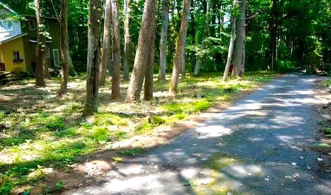 山梨県南都留郡鳴沢村鳴沢の土地の外観