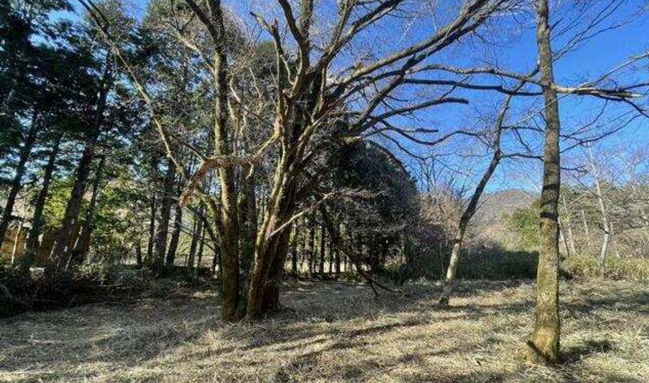 箱根町仙石原の土地の外観2