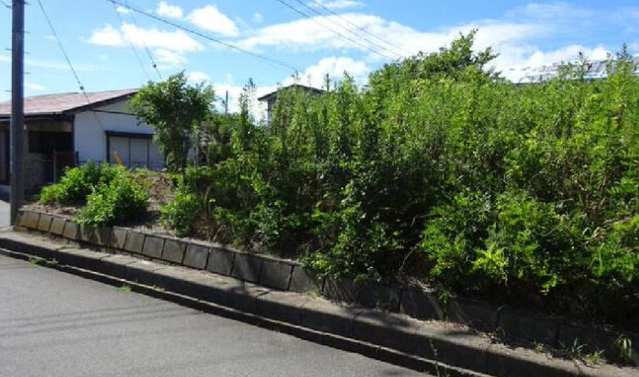 館山市佐野の土地の間取り