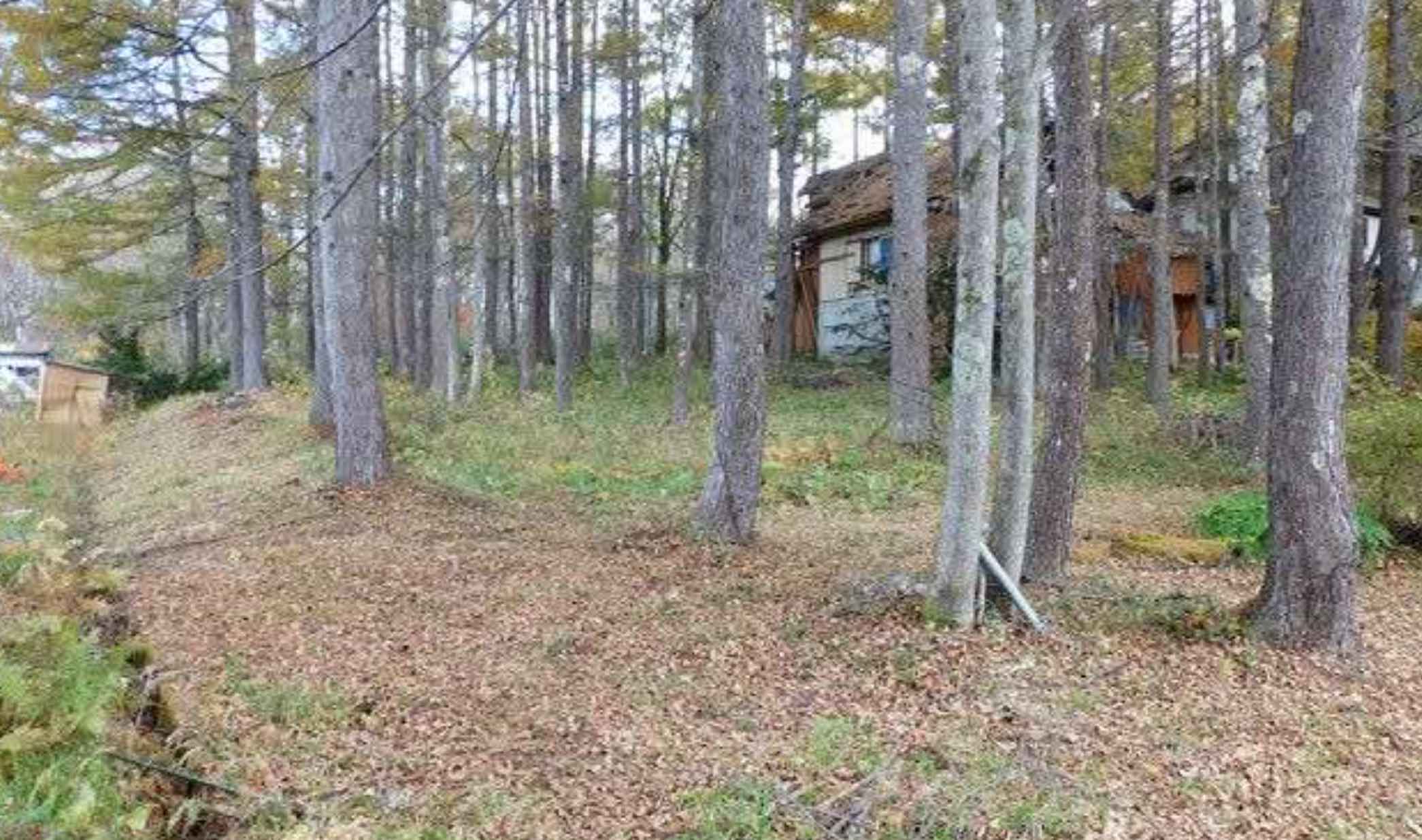 長野県長野市戸隠の土地の外観1