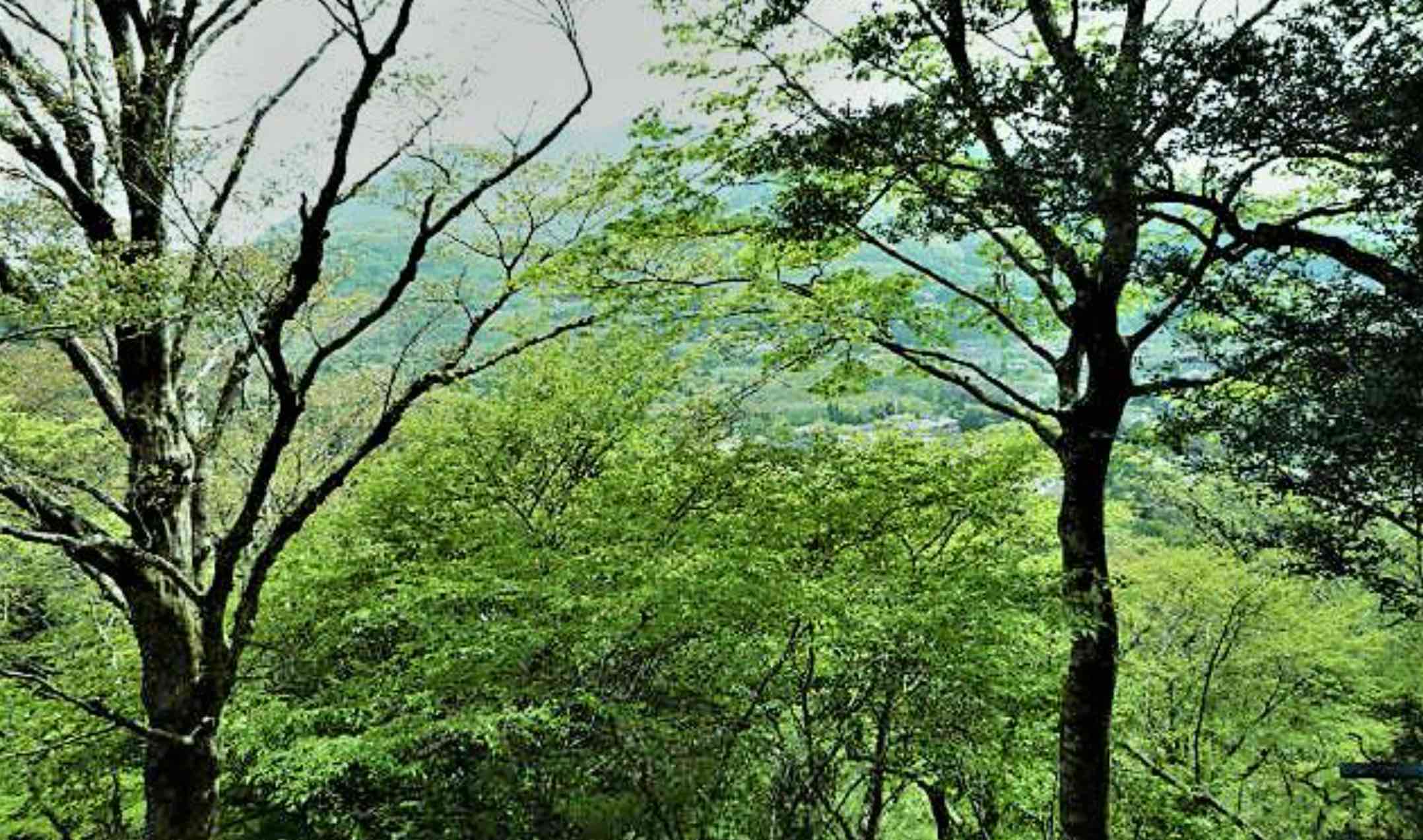 箱根町仙石原の物件の外観2