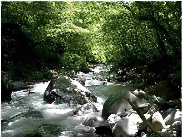 那須高原の別荘の間取り